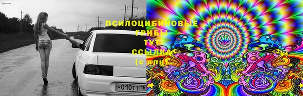 a pvp Верея