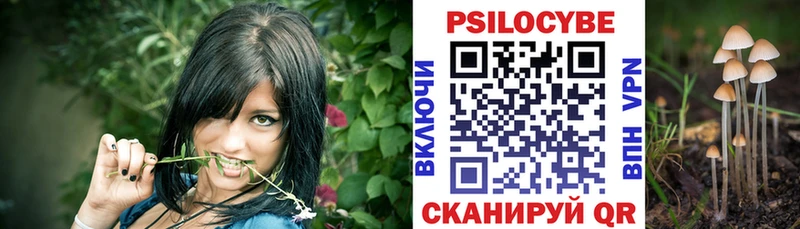 Галлюциногенные грибы Psilocybine cubensis Избербаш