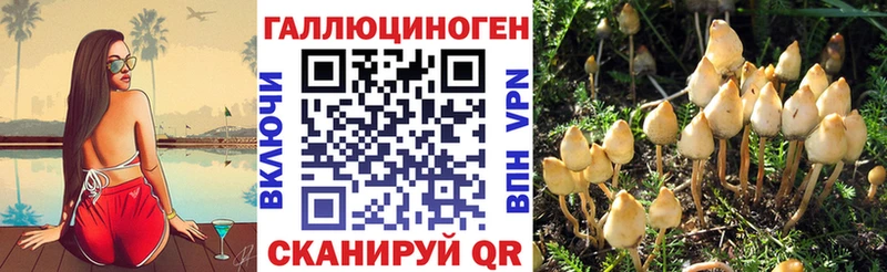 Галлюциногенные грибы Magic Shrooms  сколько стоит  blacksprut ССЫЛКА  Избербаш 